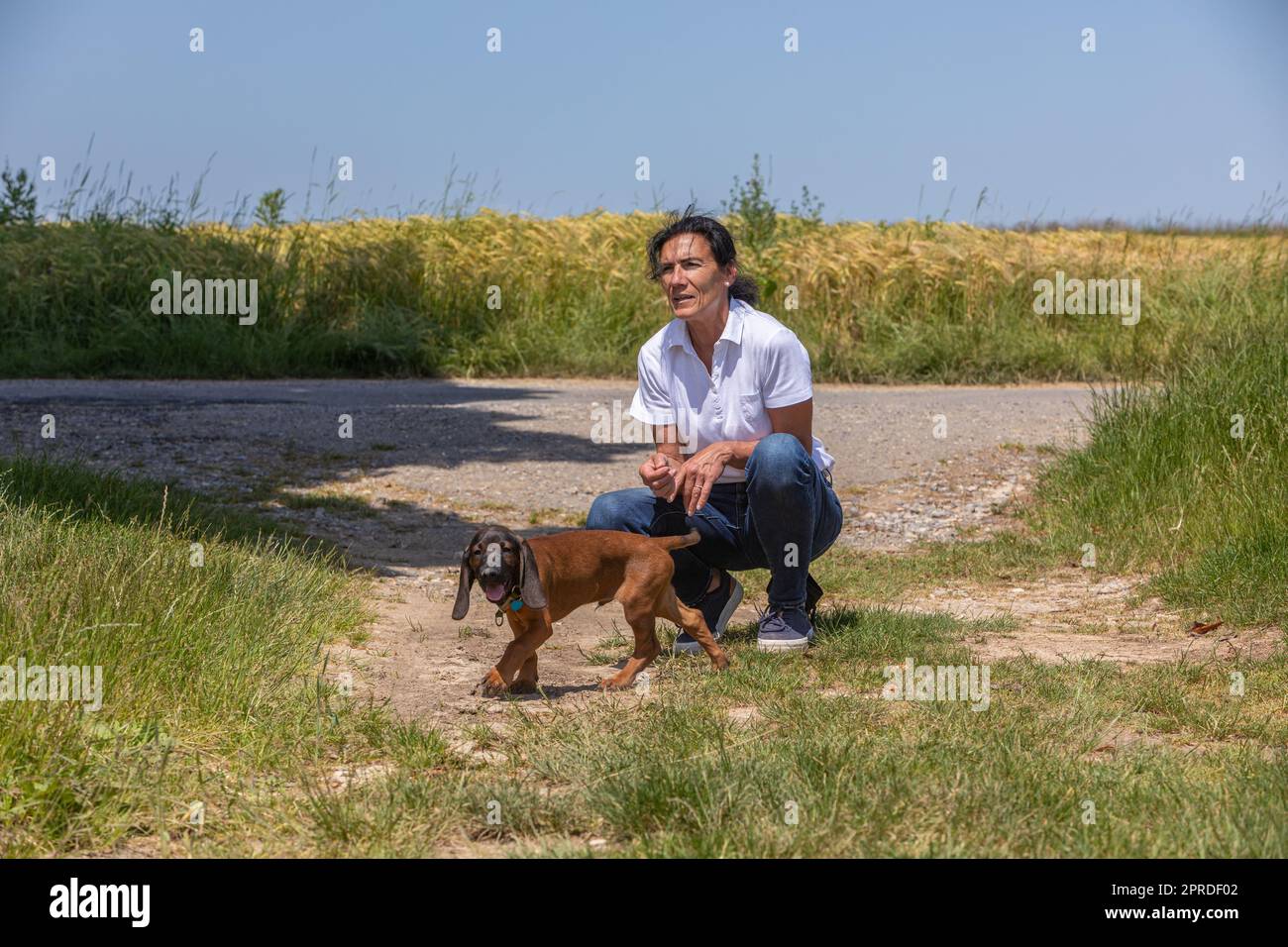 donna con un carino cane da sniffer Foto Stock