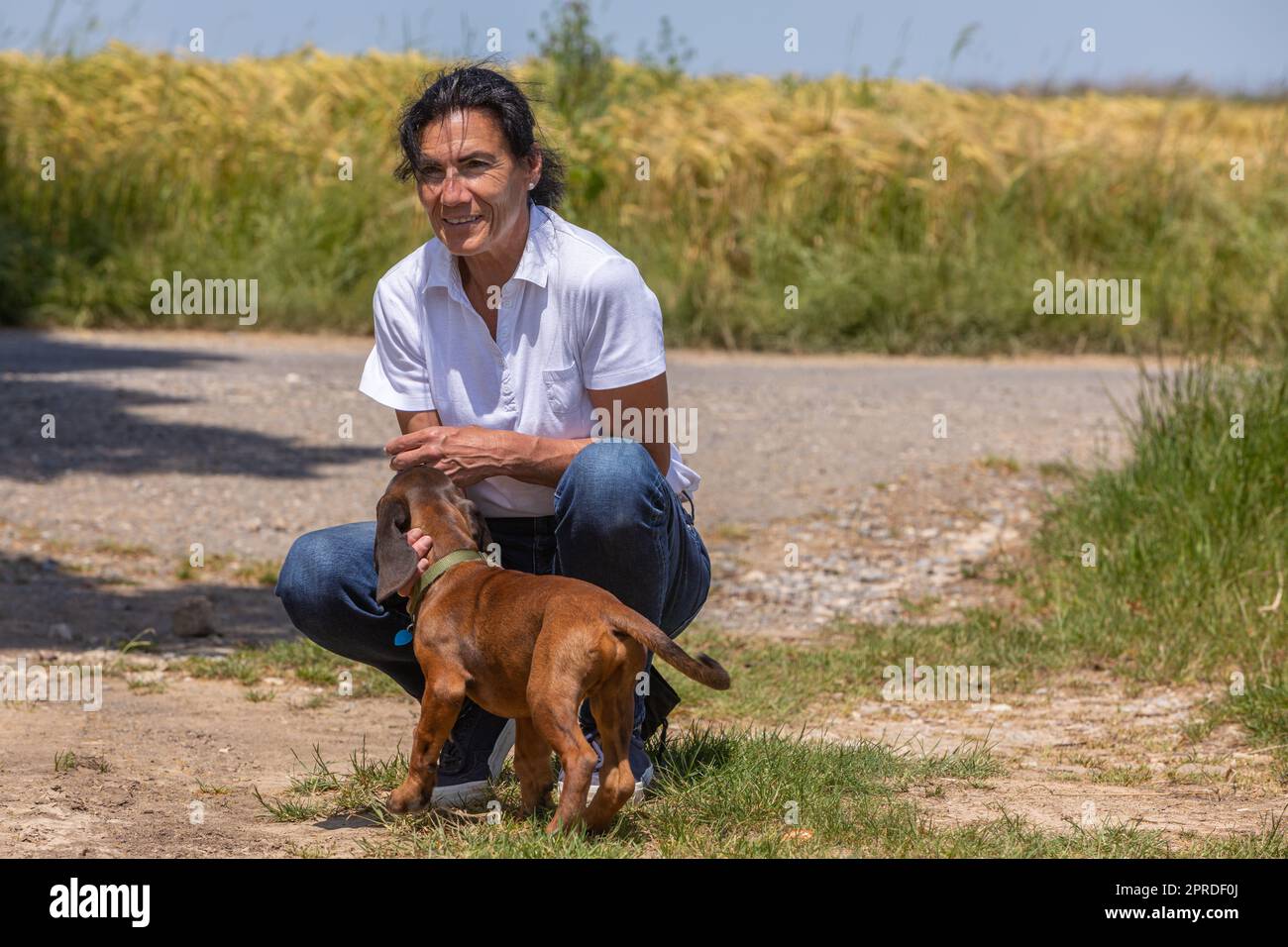 donna che accarezza cane da sniffer Foto Stock