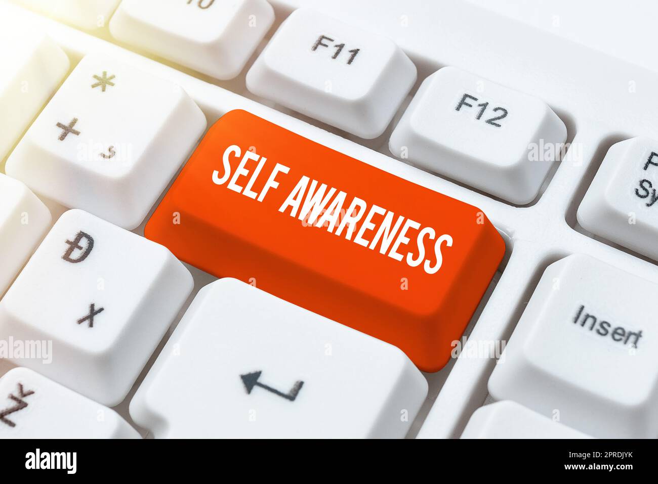 Testo che mostra ispirazione Auto AwarenessConscienza di una persona verso una situazione o avvenimenti. Concetto che significa consapevolezza di una persona verso una situazione o eventi donna che tiene tablet e punta con un dito su un'idea importante. Foto Stock