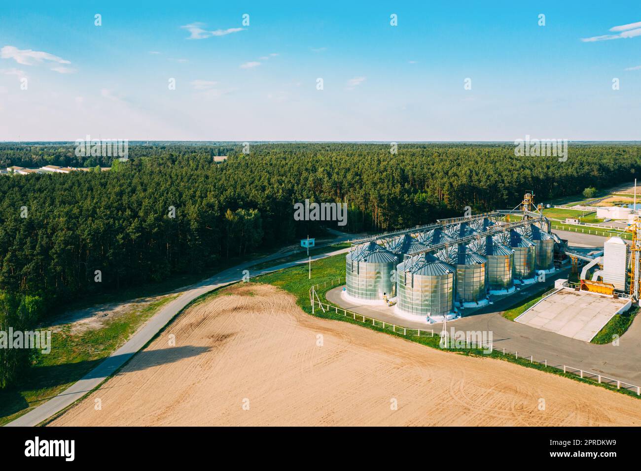 Vista aerea Granaio moderno, complesso di essiccazione dei cereali, cereali commerciali o silos di semi nel paesaggio rurale di Sunny Spring. Essiccatore per mais Silos, Inland Grain Terminal, elevatori per cereali in piedi in Un campo Foto Stock