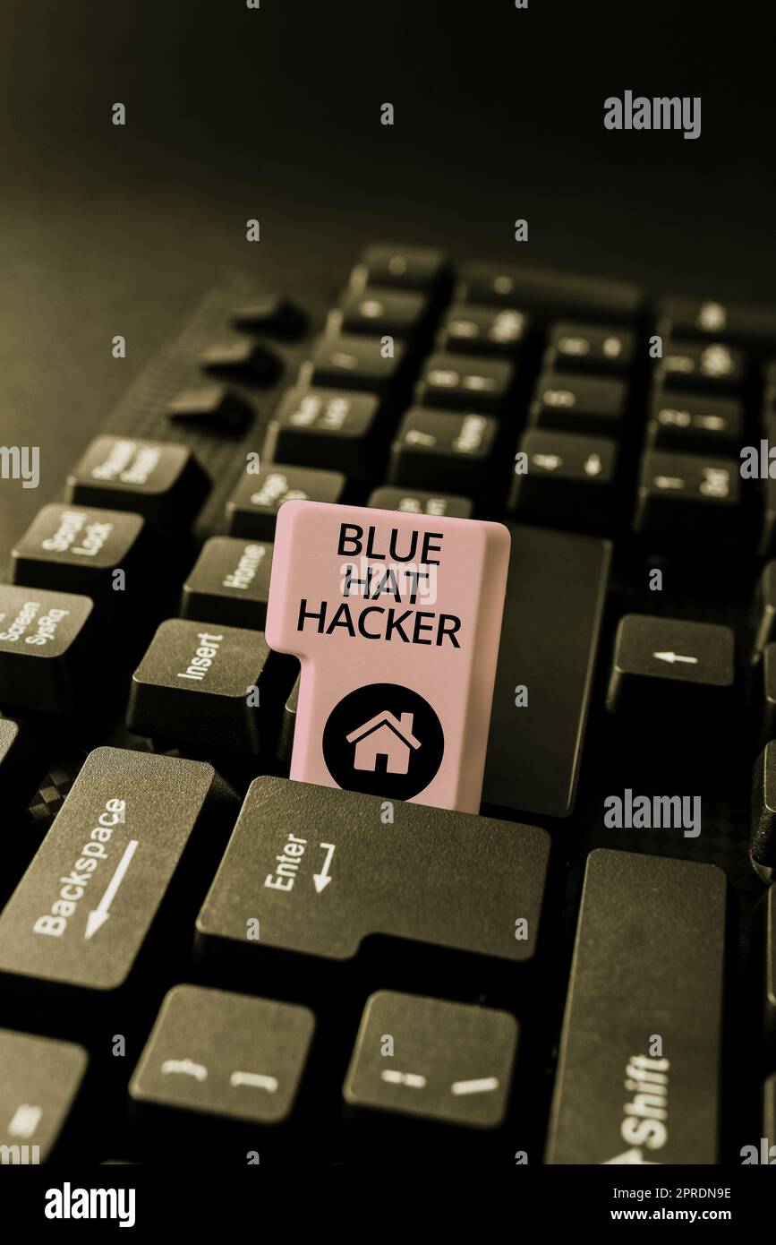 Scrittura a mano del testo Blue Hat Hacker. Panoramica aziendale persone che consultano le aziende che bug di sistema prima del suo lancio -49138 Foto Stock