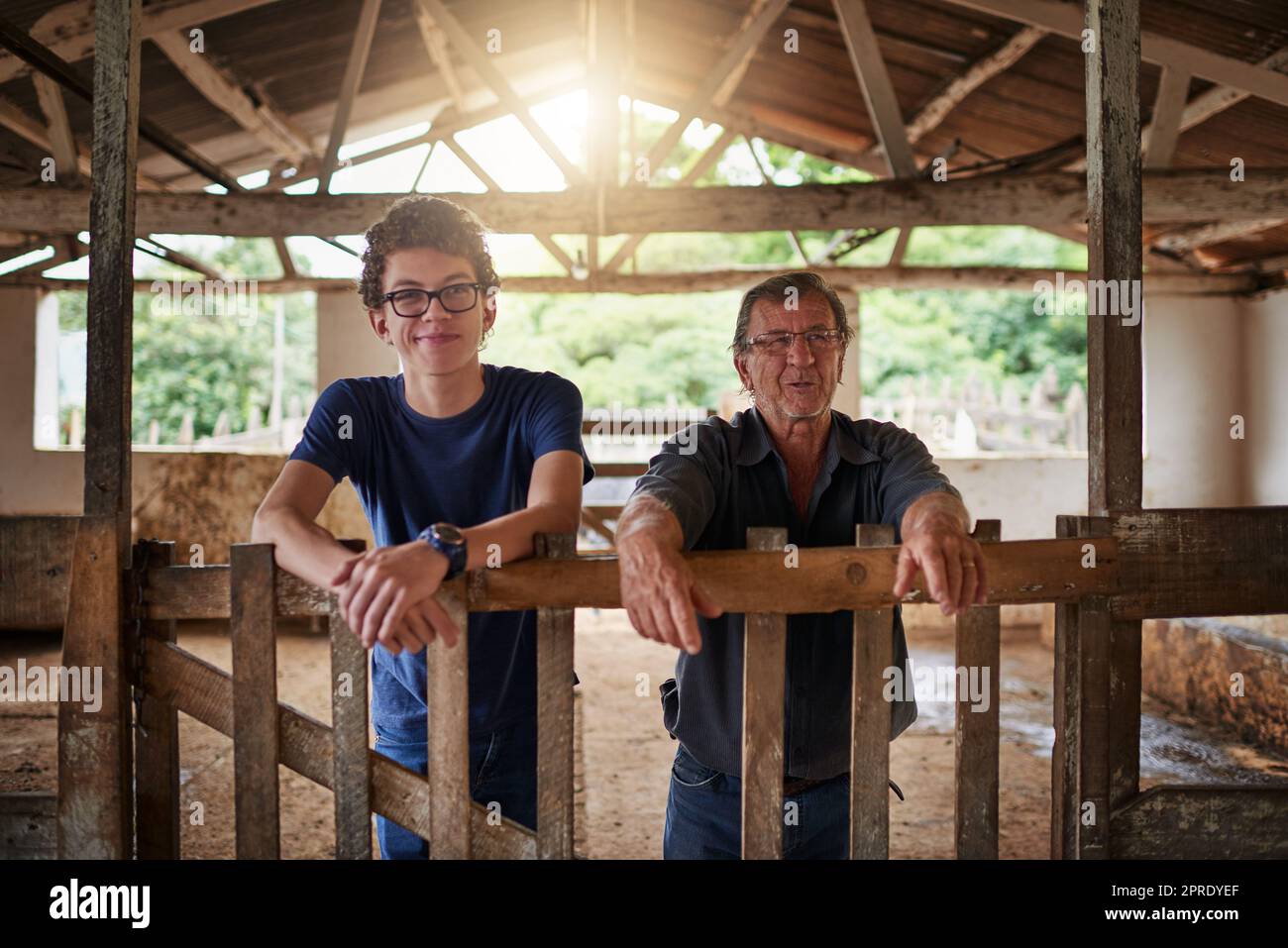 L'azienda agricola di famiglia. Un coltivatore maturo ed il suo figlio giovane in piedi in un fienile sull'azienda agricola di famiglia. Foto Stock