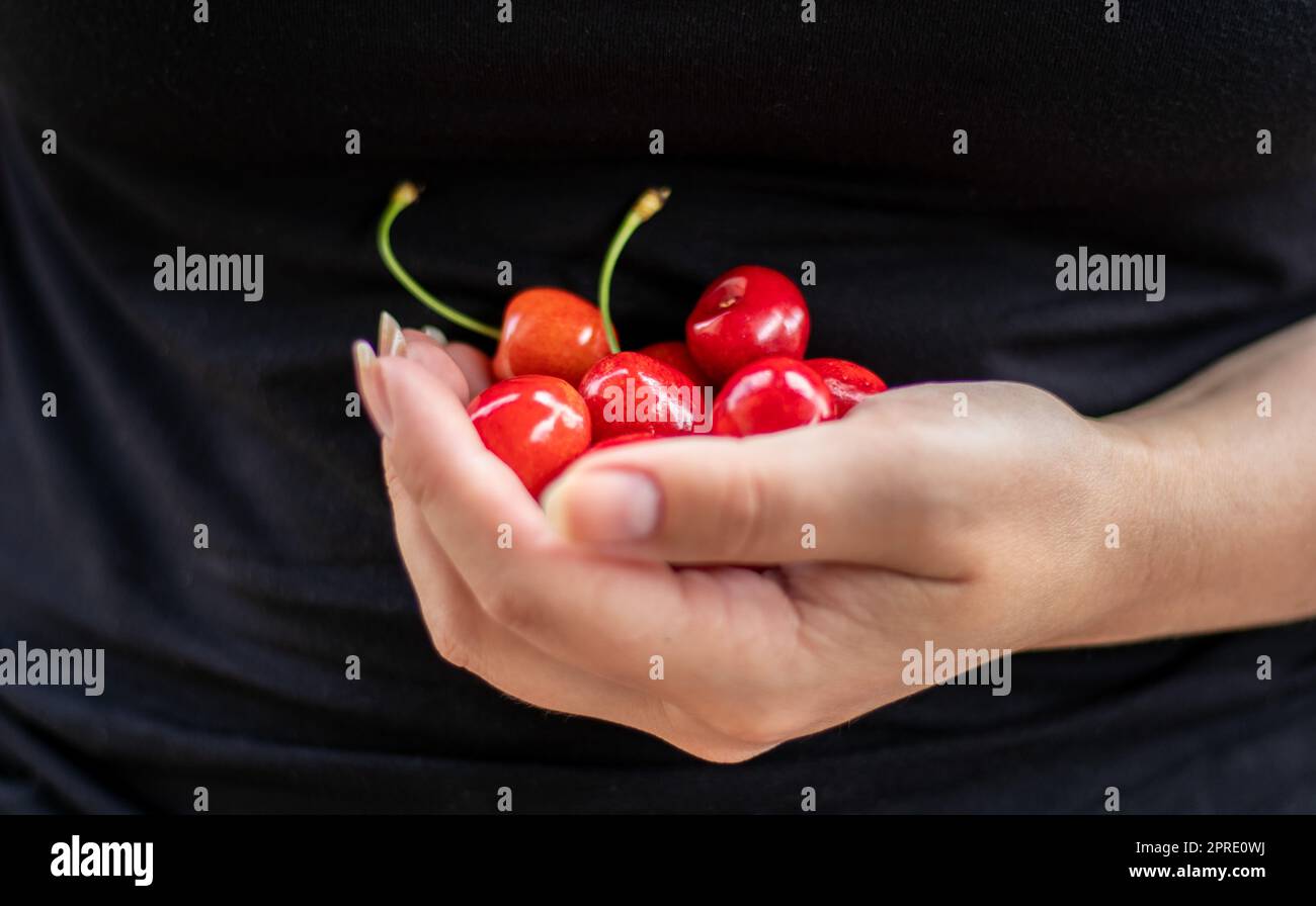 Una manciata di ciliegie mature in mano, appena raccolte da un giardino biologico. Una mano contiene un mucchio di ciliegie. Una ragazza tiene una manciata di ciliegie in giardino, in un giorno d'estate. Foto Stock