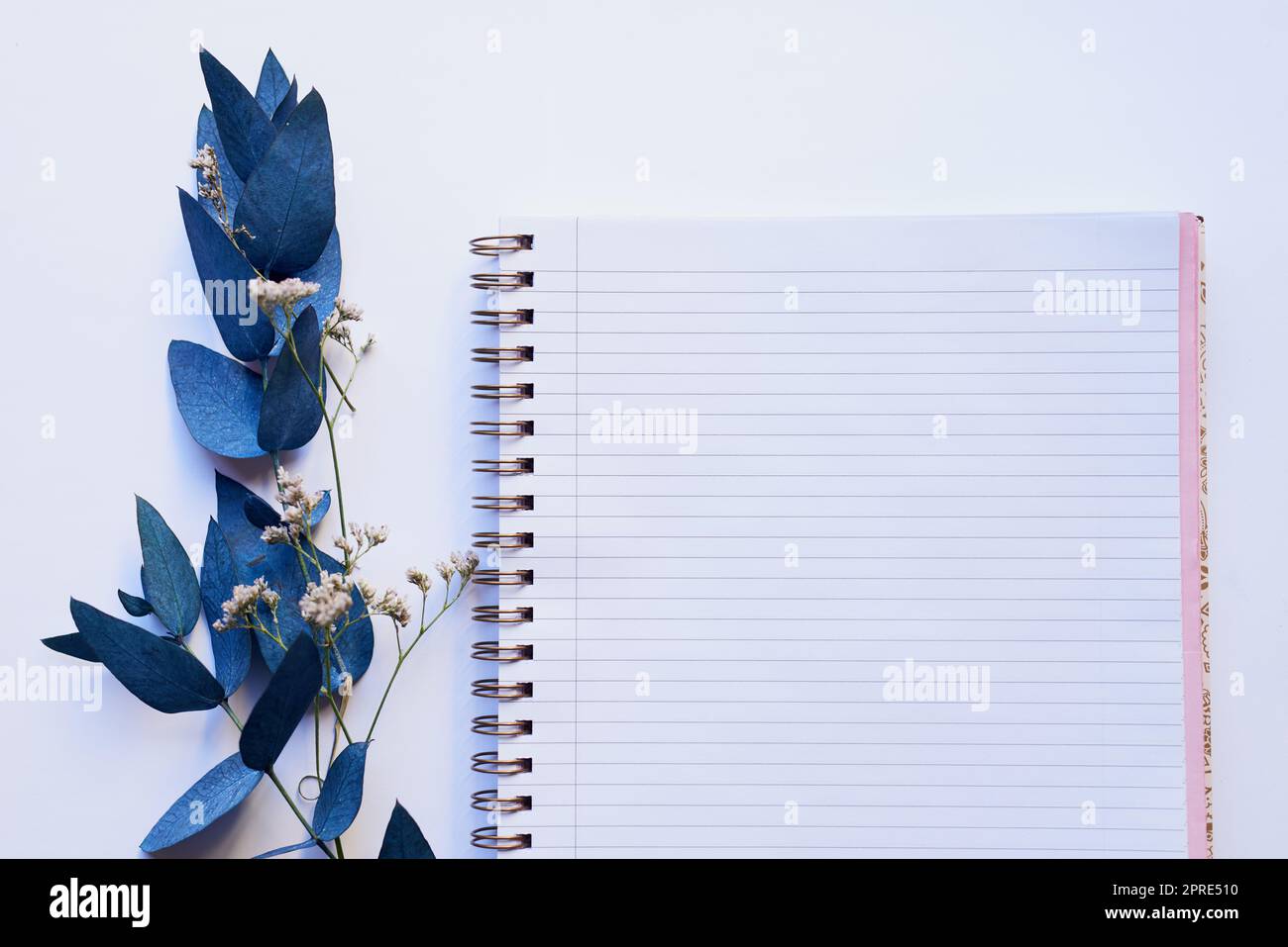 Iniziare dall'alto e lavorare verso il basso. Studio shot di un diario e ramo con foglie blu poste su uno sfondo grigio. Foto Stock