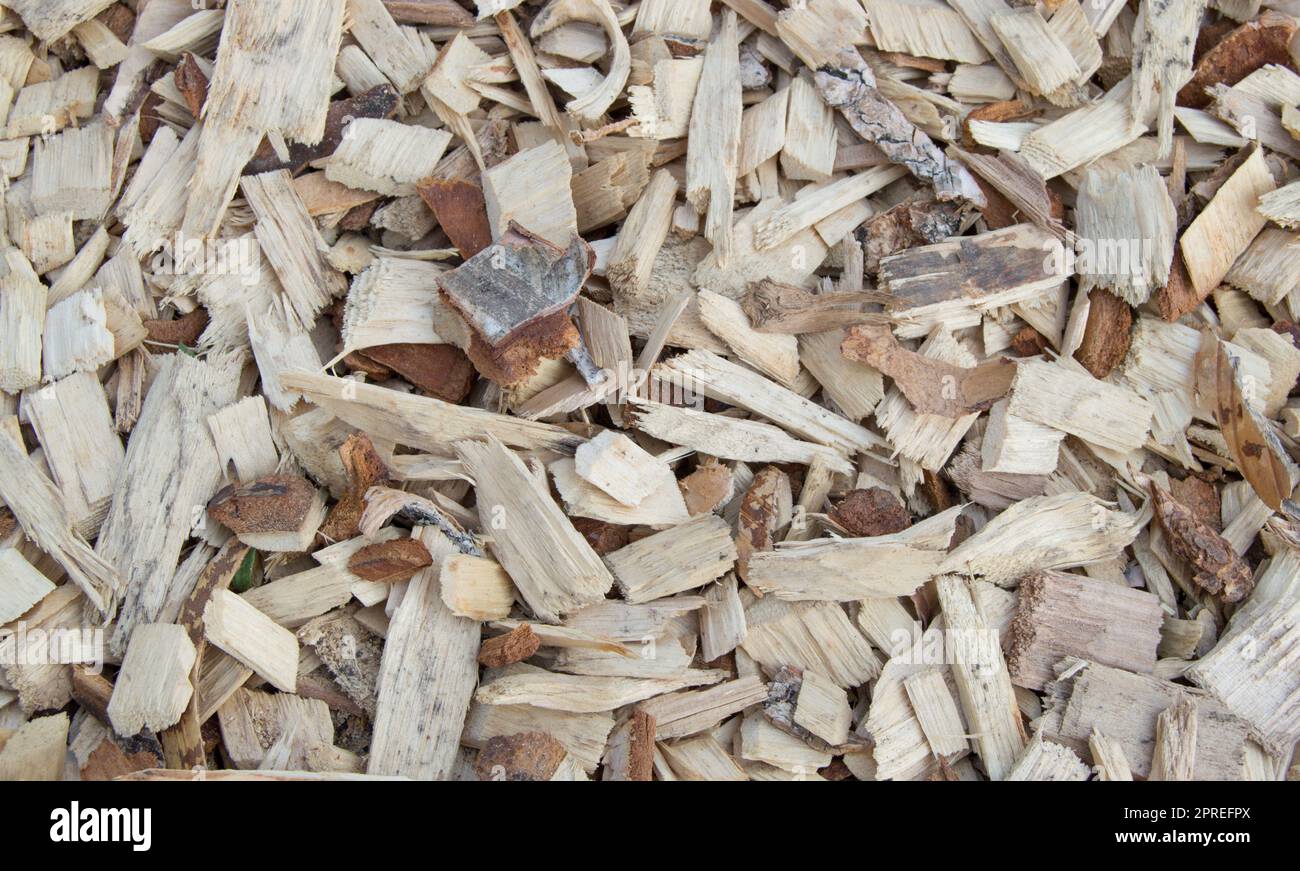 Trucioli di legno trucioli, materiale naturale configurazione di sfondo. Foto Stock