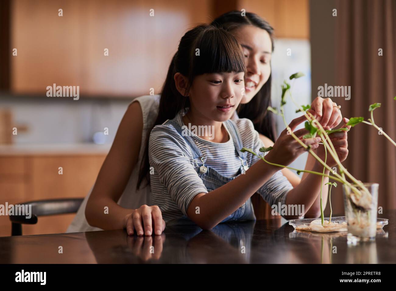 Un po 'di tempo madre figlia di qualità. Una madre e una figlia allegra trascorrere il tempo a prendersi cura delle piante insieme a casa durante il giorno. Foto Stock