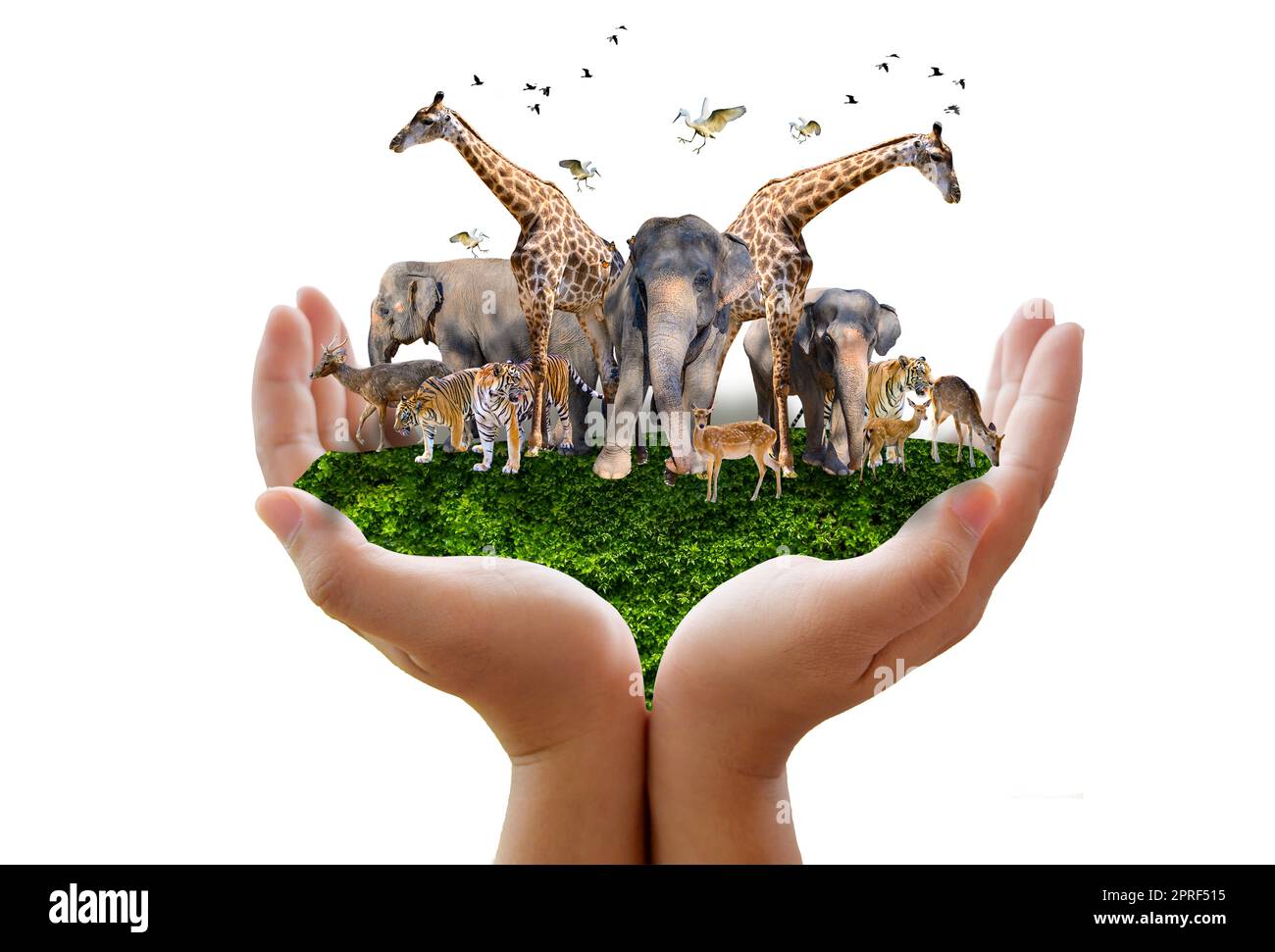 Giornata Mondiale degli Animali Giornata Mondiale della Fauna gruppi di bestie selvatiche sono stati riuniti nelle mani delle persone Foto Stock