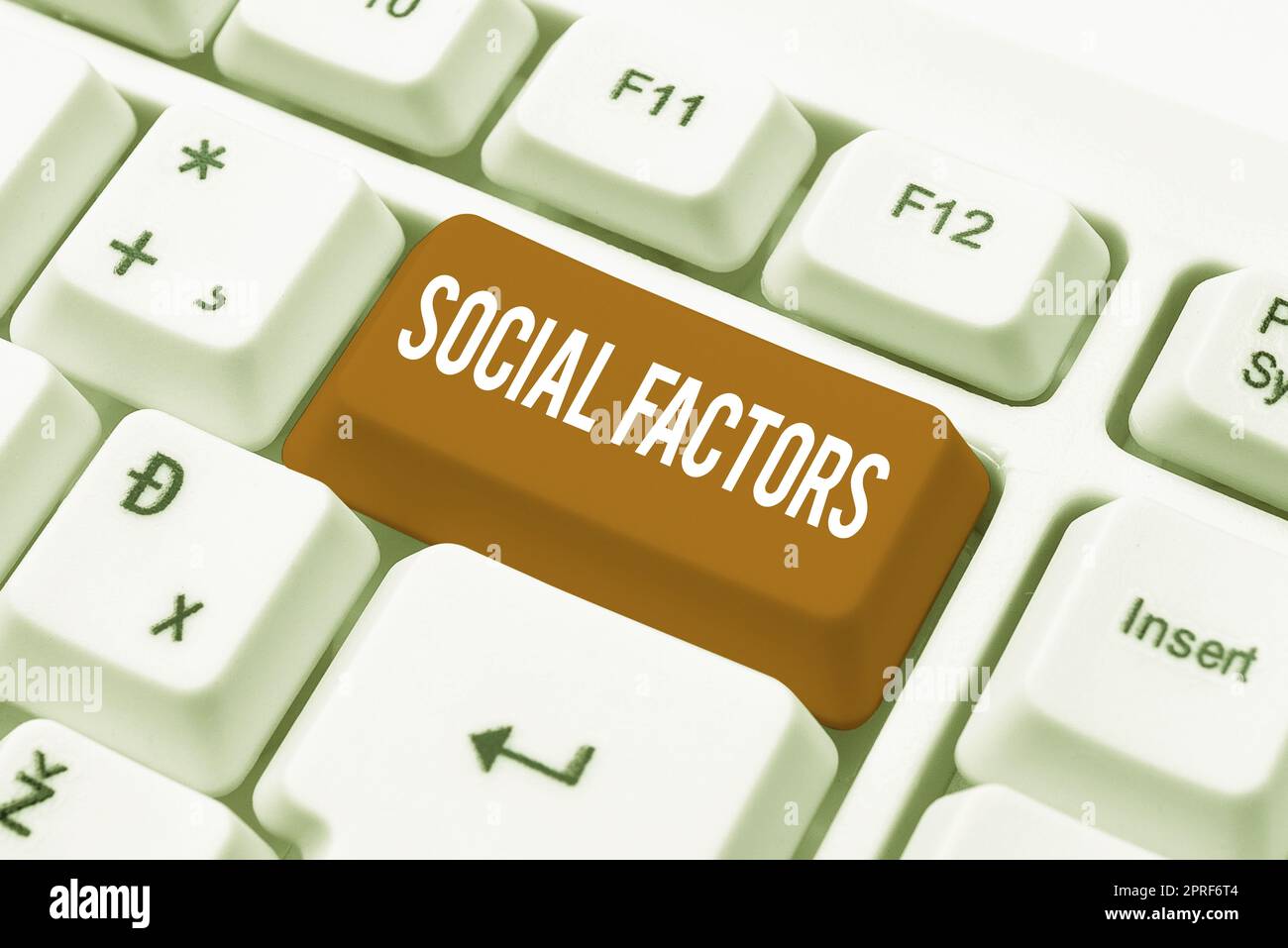 Didascalia di testo che presenta le faccende sociali che influenzano lo stile di vita differenze culturali. Foto concettuali cose che influenzano lo stile di vita differenze culturali Foto Stock