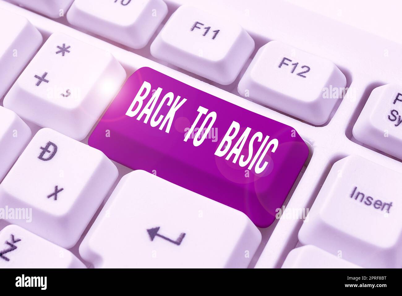 Didascalia di testo che torna a base. Approccio aziendale Return Simple Things Fundamental Essential Primary Basis Speech Bubble with important Information placed in Front of Net. Foto Stock