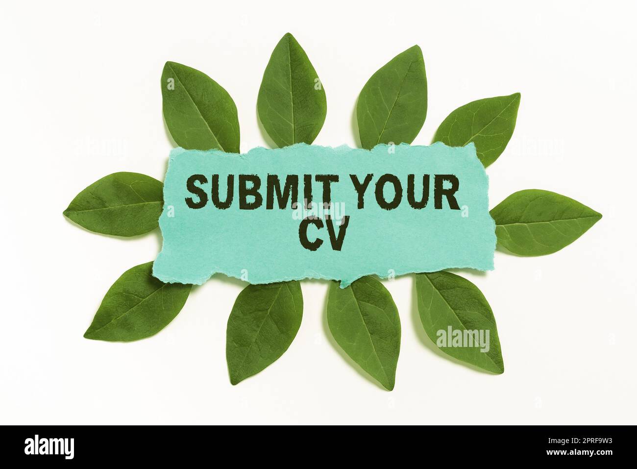 Didascalia di testo per presentare il proprio CV. Approccio aziendale alla ricerca di una posizione di lavoro inviaci un curriculum per applicare caselle di messaggio vuote per la pubblicità e il Branding aziendali. Foto Stock