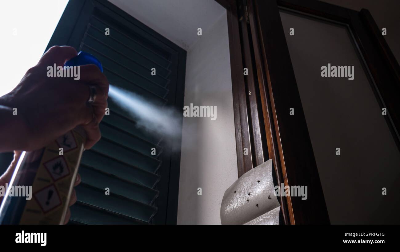 mano che usa uno spray di insetticidi di zanzare per uccidere mosche e zanzare. retroilluminazione a spruzzo chiaramente visibile con goccioline. Foto Stock