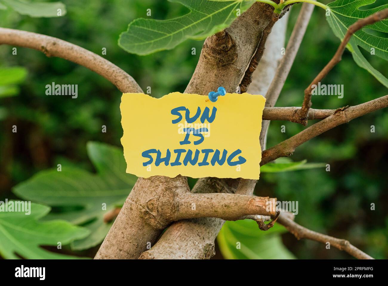 Cartello che mostra il sole splende. Parola per un bel sole durante le calde giornate estive paesaggio naturale bolla sul pavimento con importanti informazioni scritte in. Foto Stock