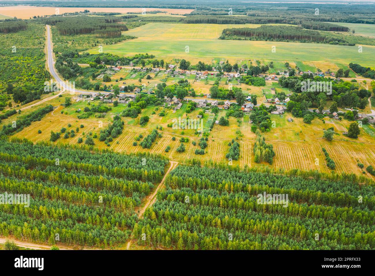 Vista aerea Foresta verde deforestazione Area Paesaggio vicino al Villaggio. Vista dall'alto della nuova foresta giovanile. Natura europea dall'alto atteggiamento in estate Foto Stock