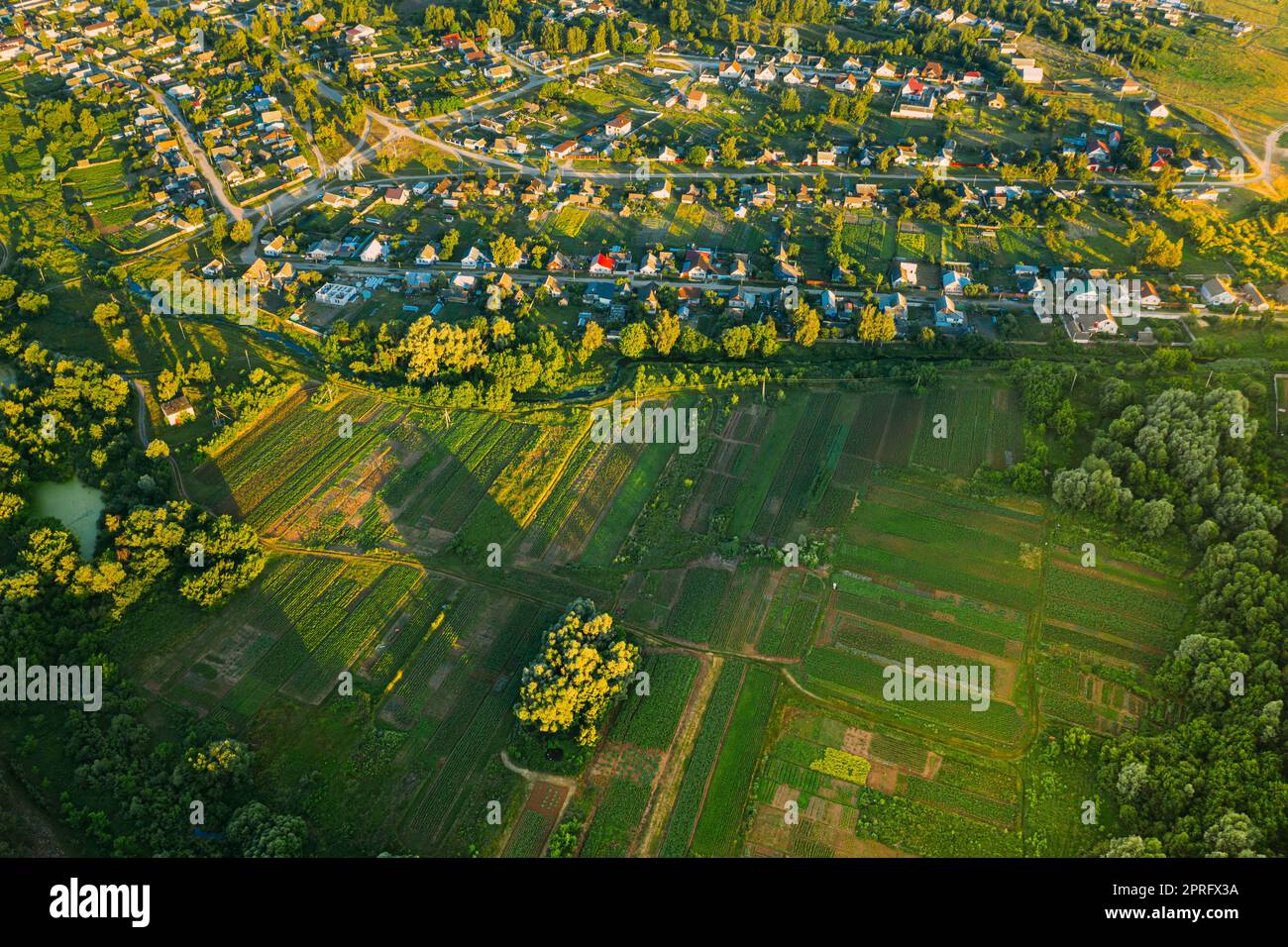 Vista aerea dei Giardini vegetali nella piccola città o villaggio. Skyline in estate sera. Village Garden Beds in Bird's-eye View Foto Stock