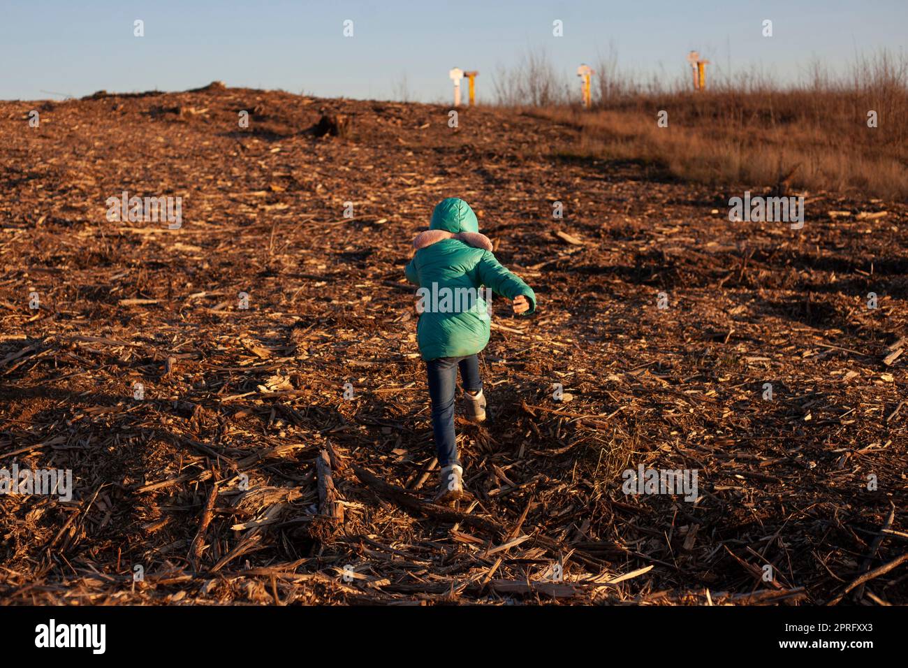 Il bambino corre attraverso la bonifica forestale. Bambina in uno spazio vuoto. Deforestazione in Russia. Foto Stock