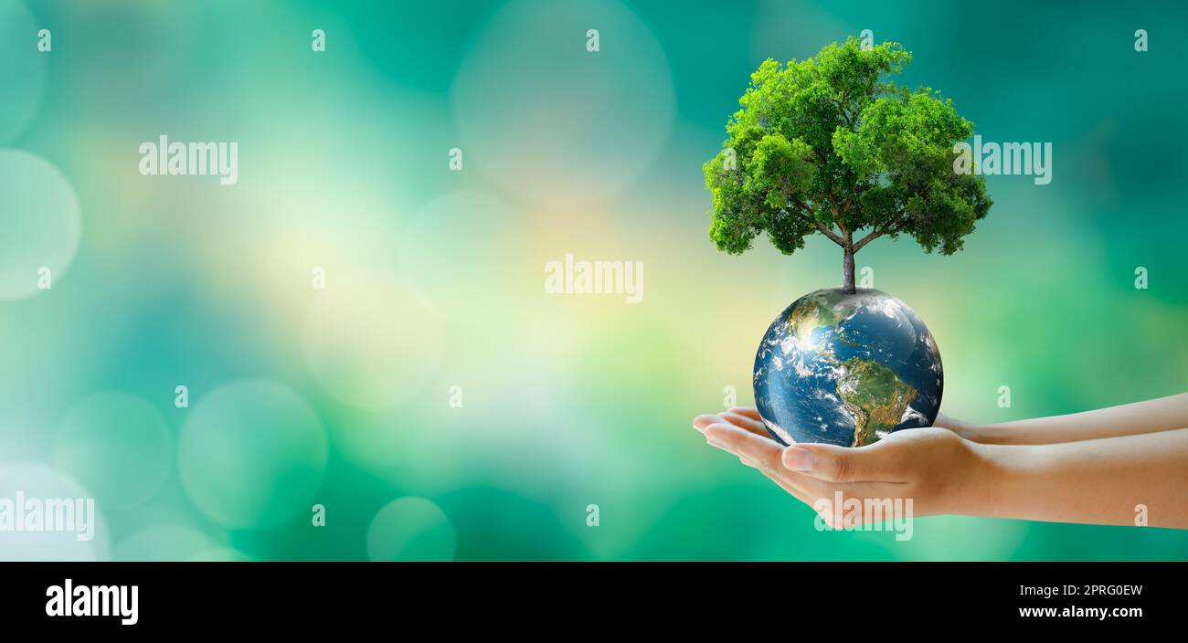Salva pianeta pulito, Salva mondo e ambiente, Ecologia, concetto giornata Mondiale della Terra. Foto Stock