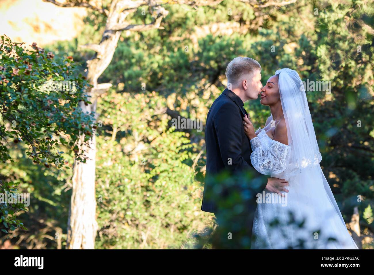 Gli sposi novelli interrazziali baciano sullo sfondo di una foresta soleggiata Foto Stock