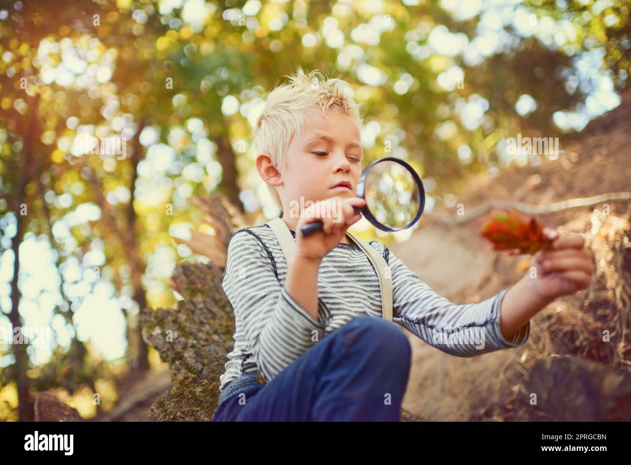 Che scoperta interessante...scatto di un ragazzino curioso che esplora i boschi con una lente d'ingrandimento. Foto Stock