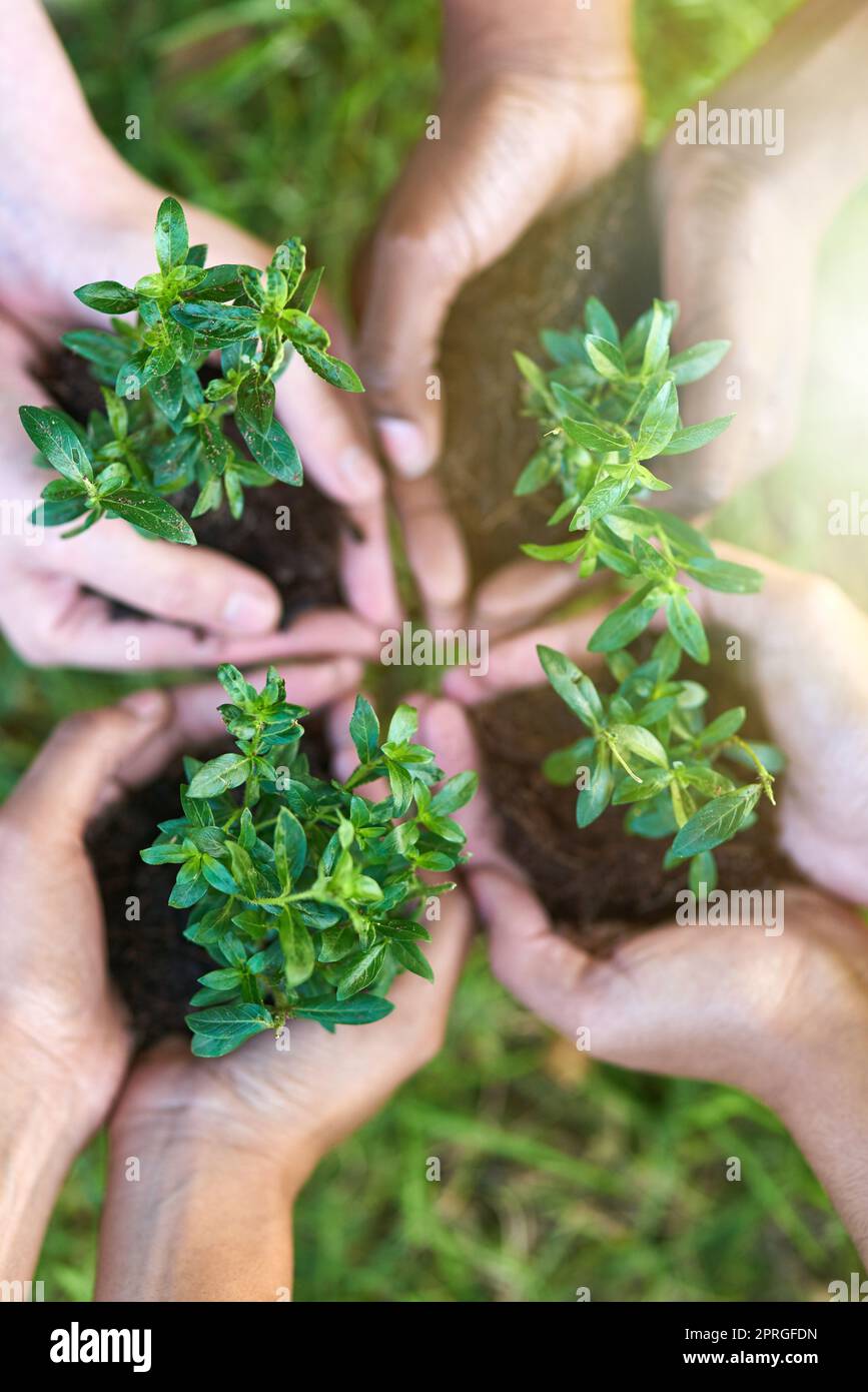 Rafforzare Sustainability. Quattro persone ciascuno tenendo una pianta che cresce in suolo. Foto Stock