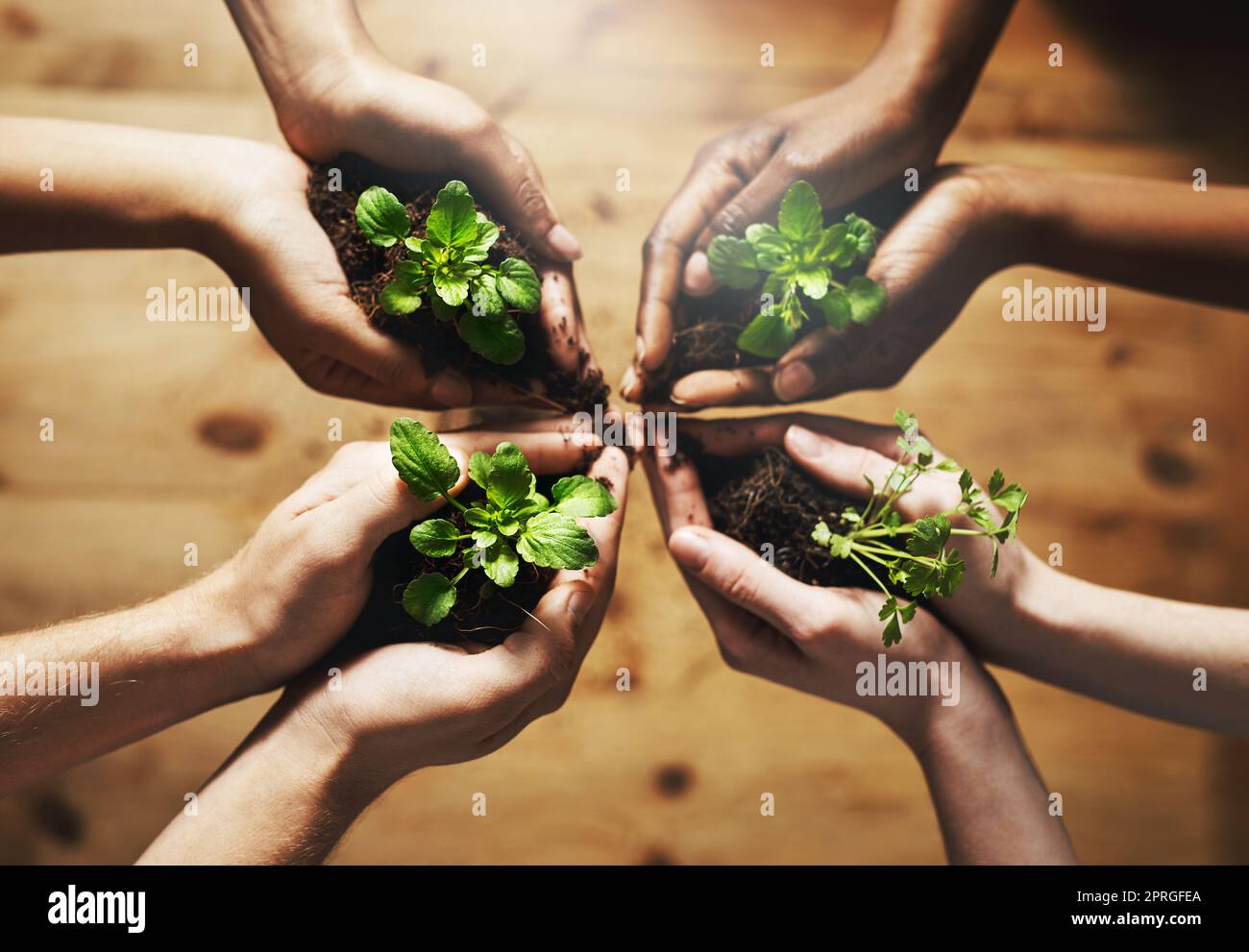 Vivere verde e salvare il green. Un gruppo di persone che tengono piante che crescono da suolo. Foto Stock
