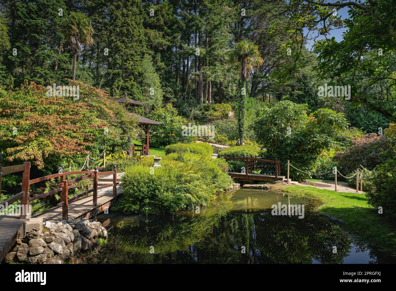 Giardino in stile giapponese con stagni, sentieri, ponti e vegetazione verde nei giardini di Powerscourt, Irlanda Foto Stock