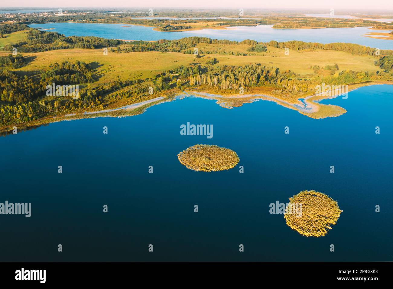 Braslaw o Braslau, Vitebsk Voblast, Bielorussia. Vista aerea del lago di Nedrava e del paesaggio della Foresta Verde nella soleggiata mattinata d'autunno. Vista dall'alto della splendida natura europea da High Attitude. Bird's Eye View. Laghi famosi. Monumenti naturali. Piccole isole Foto Stock