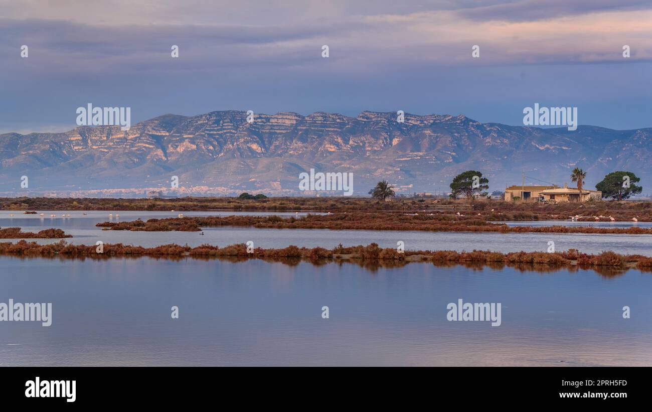 Montsià catena montuosa vista da vicino all'istmo barra del Trabucador con la sua riflessione sulle acque della baia di Alfacs nel Delta Ebro (Spagna) Foto Stock