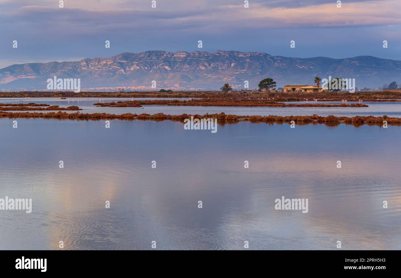 Montsià catena montuosa vista da vicino all'istmo barra del Trabucador con la sua riflessione sulle acque della baia di Alfacs nel Delta Ebro (Spagna) Foto Stock