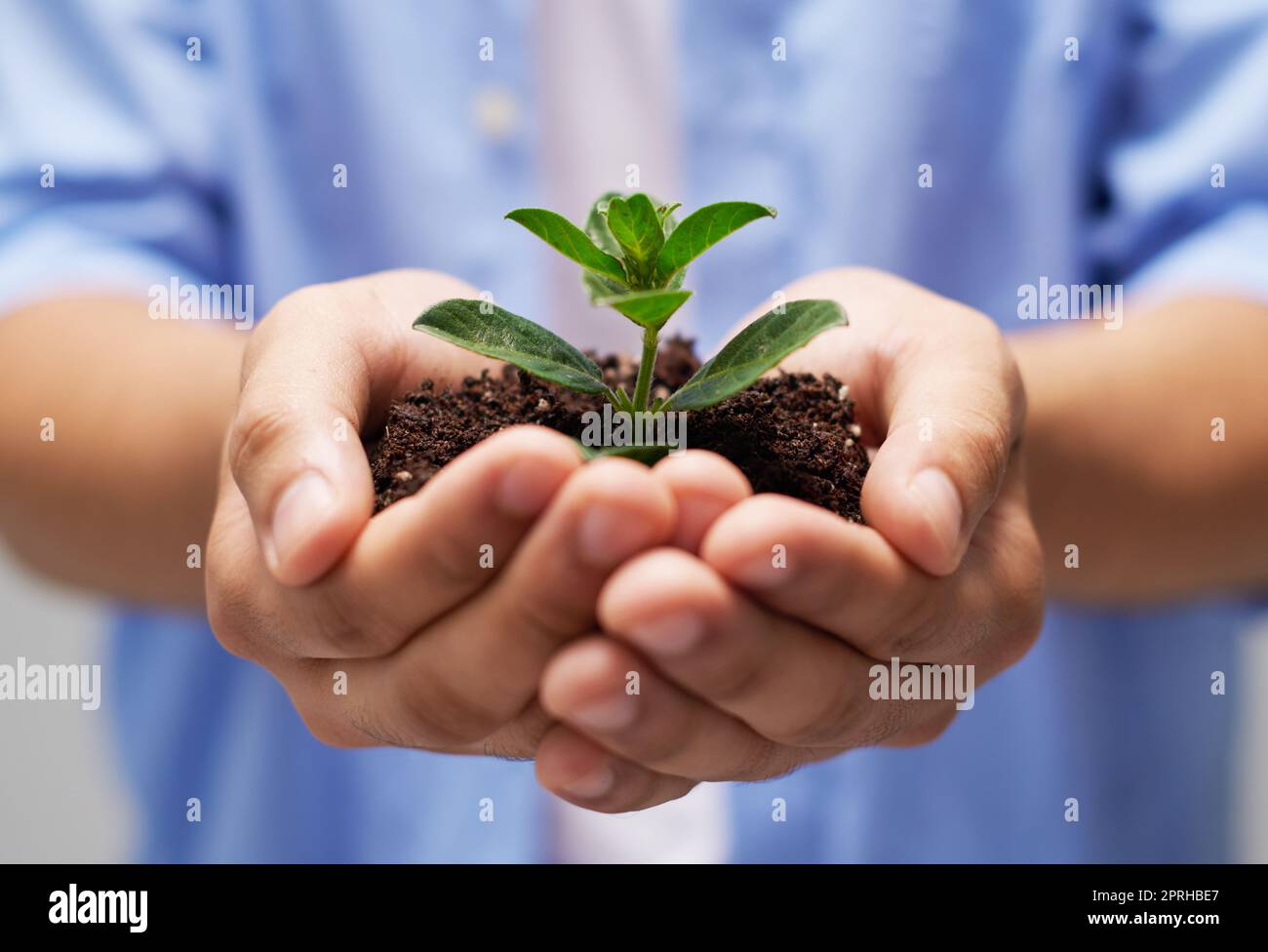 Nutrendo vita nuova. Una persona che tiene un mucchio di suolo con una pianta germogliante. Foto Stock