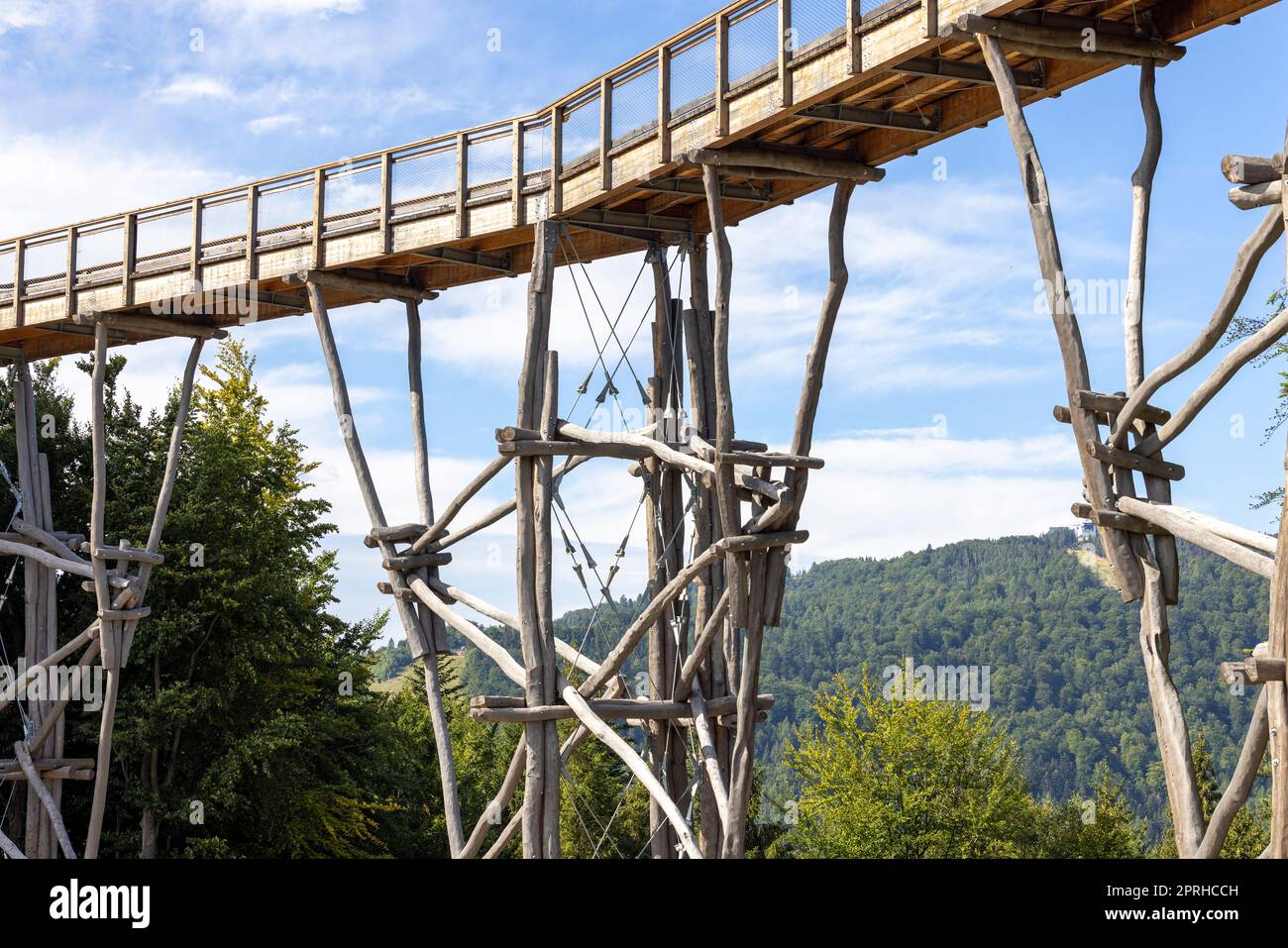 Torre di osservazione situata in cima alla stazione sciistica di Słotwiny Arena, che conduce alle cime degli alberi, Krynica Zdroj, Beskid Mountains, Slotwiny, Polonia Foto Stock