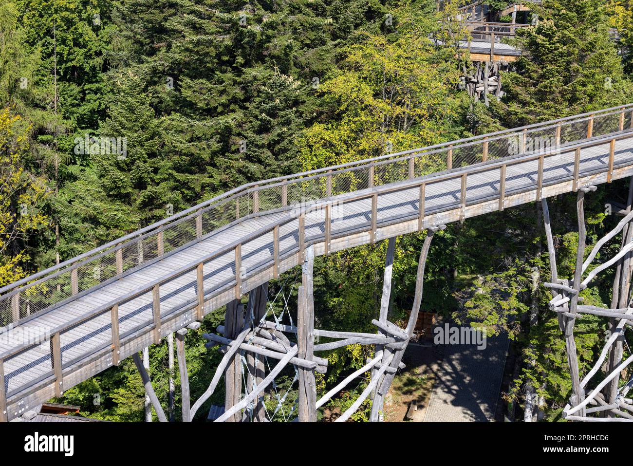 Torre di osservazione situata in cima alla stazione sciistica di Słotwiny Arena, che conduce alle cime degli alberi, Krynica Zdroj, Beskid Mountains, Slotwiny, Polonia Foto Stock