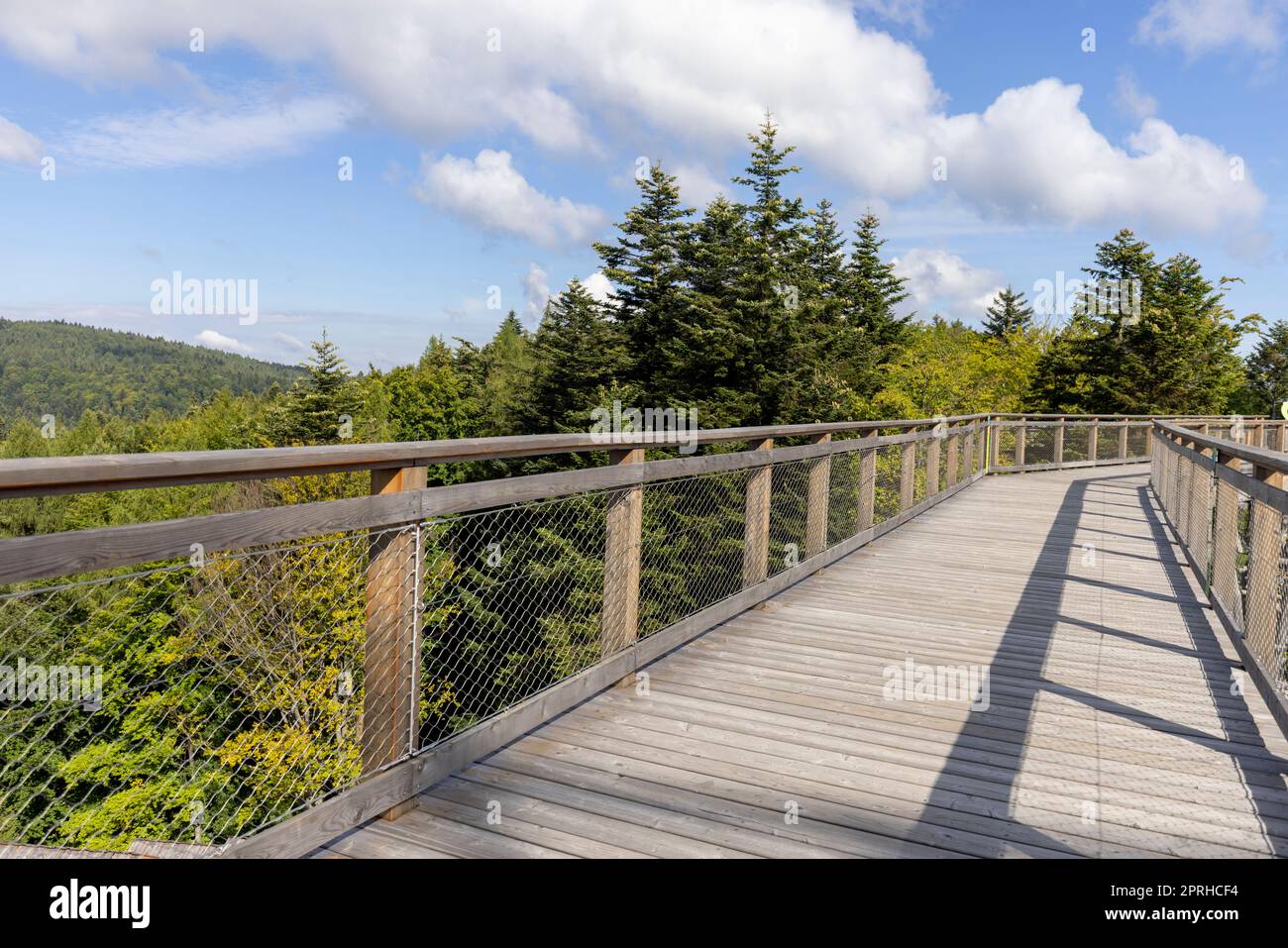 Torre di osservazione situata in cima alla stazione sciistica di Słotwiny Arena, che conduce alle cime degli alberi, Krynica Zdroj, Beskid Mountains, Slotwiny, Polonia Foto Stock
