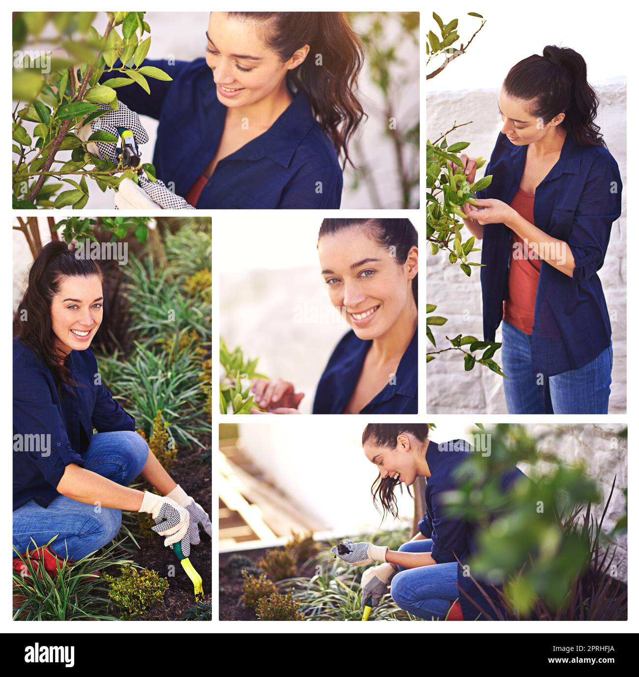 Non potete comprare la felicità ma potete comprare le piante. Immagine composita di una giovane donna attraente giardinaggio. Foto Stock