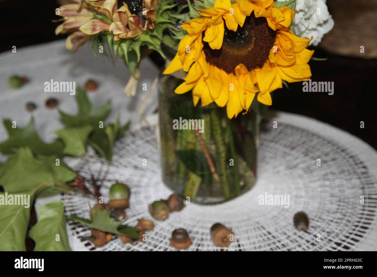 Barattolo con girasoli e bouquet di fiori selvatici, foglie di quercia e ghiande Foto Stock