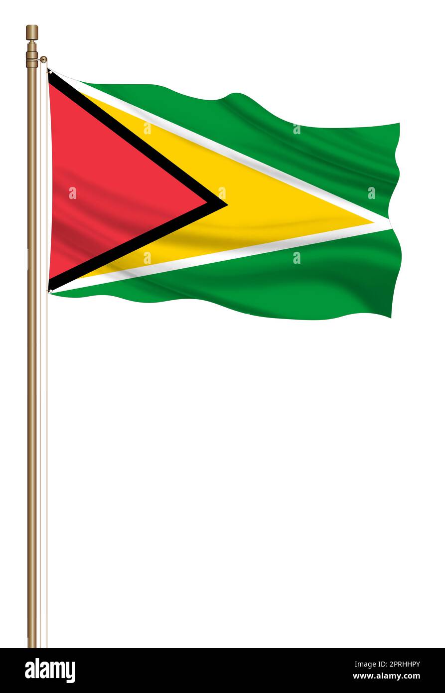 Bandiera Della Guyana Americana, 3x5 Piedi, In Poliestere - Foto 5