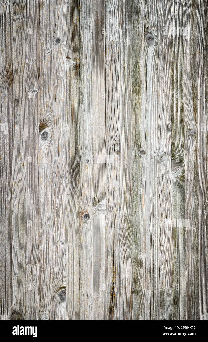 Doghe in legno texture overlay per il design. Shabby Chic sfondo. Facile da modificare texture di legno sullo sfondo. Foto Stock