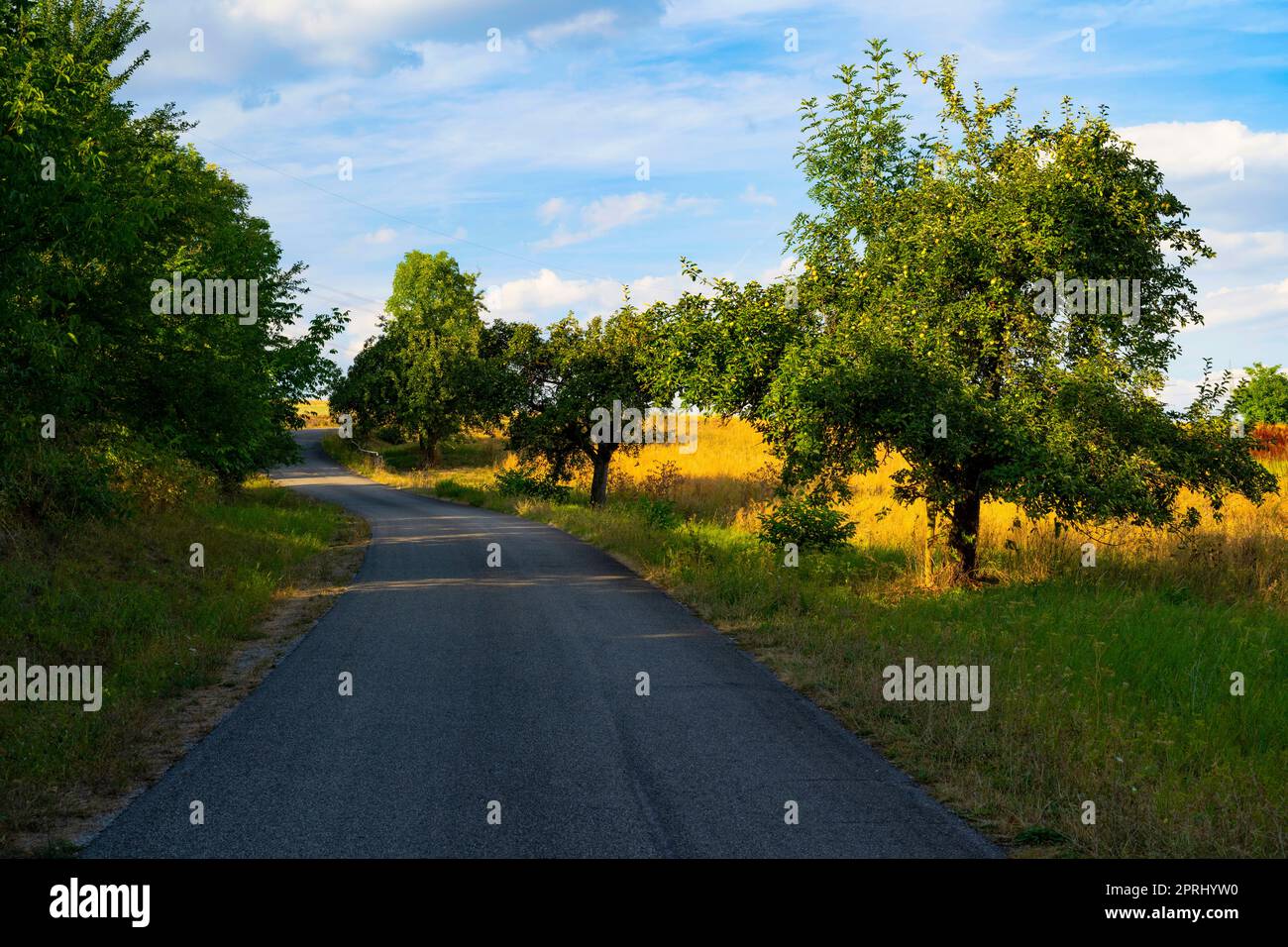 Piste ciclabili del Neckar nel Baden-Württemberg Foto Stock