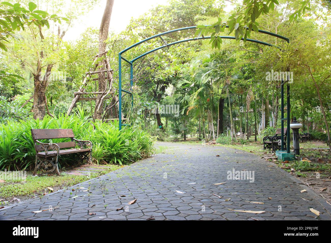 panca nel giardino pubblico parco Foto Stock