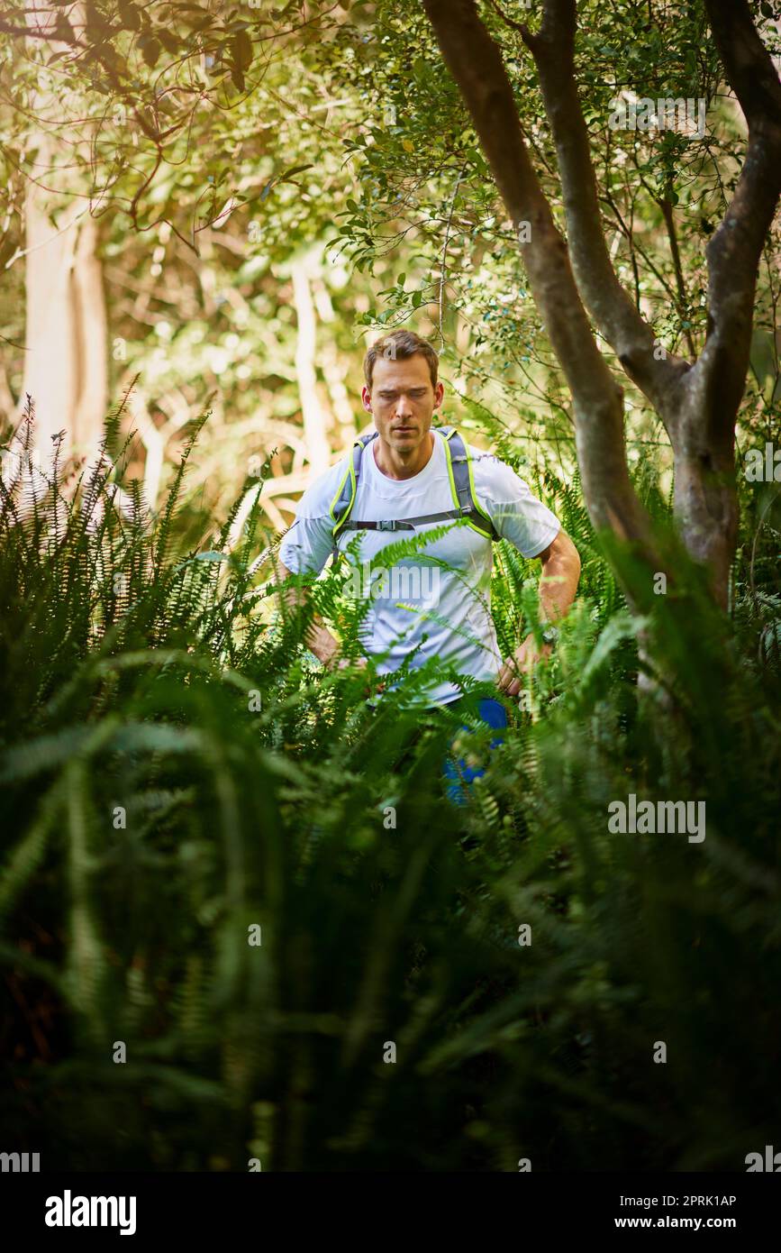 Trail running - un ottimo modo per godersi la natura. Un giovane che corre lungo un sentiero natura. Foto Stock