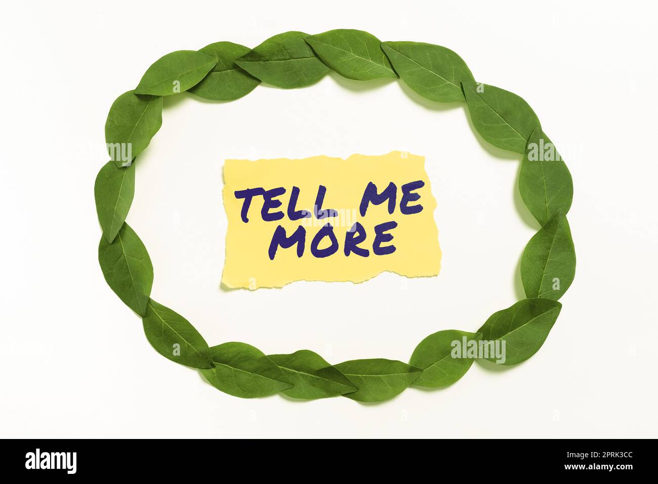 Ispirazione mostrando segno Tell Me More, Internet Concept Una chiamata per iniziare una conversazione condividere più conoscenze Foto Stock