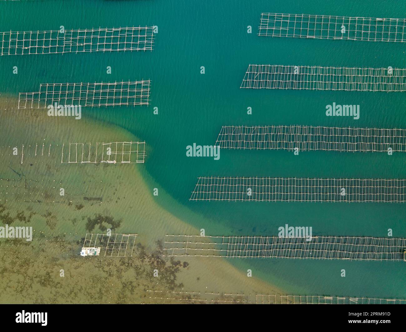 Vista aerea zenithal delle aziende di mitili della baia di Fangar, nel delta dell'Ebro, parzialmente colpite dall'accumulo di sedimenti (Tarragona, Spagna) Foto Stock