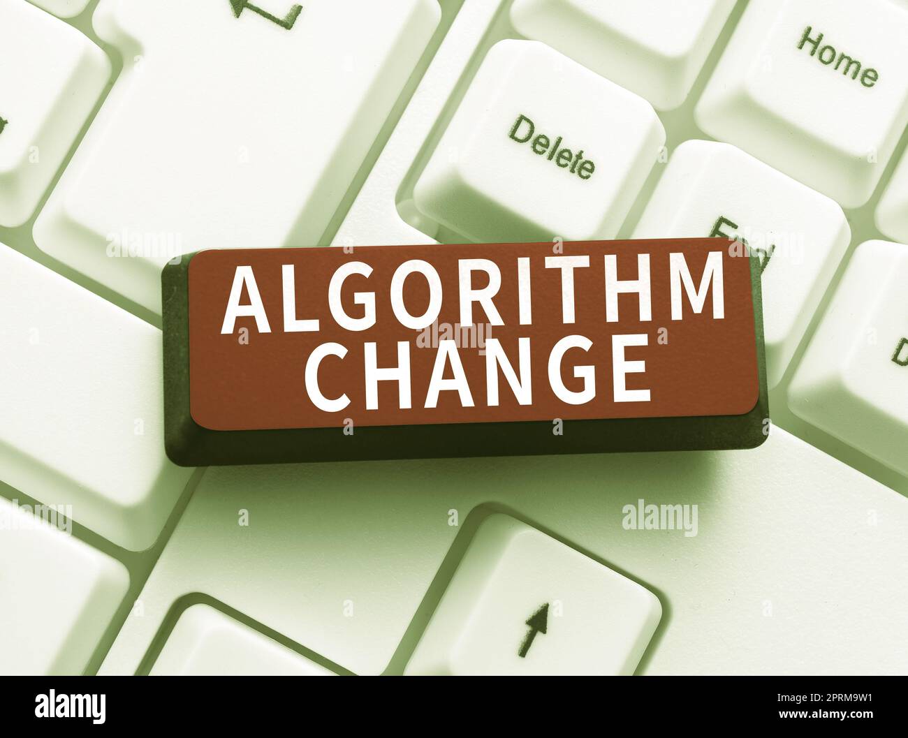 Scrittura visualizzazione algoritmo di testo Modifica, vetrina aziendale gestito investimento di beni di una persona o azienda digitando script di codice del programma, astratto Foto Stock