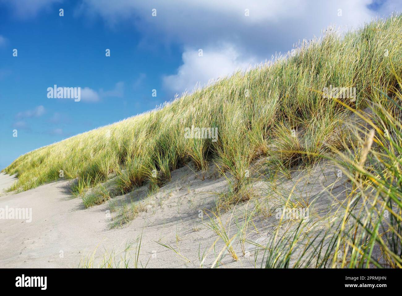 Immagini dal Regno di Danimarca Foto Stock