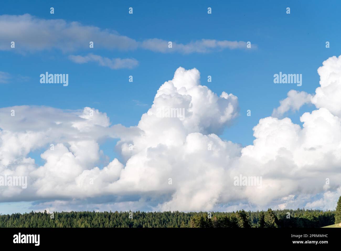 Cielo blu con nuvole e una striscia di abeti verdi Foto Stock