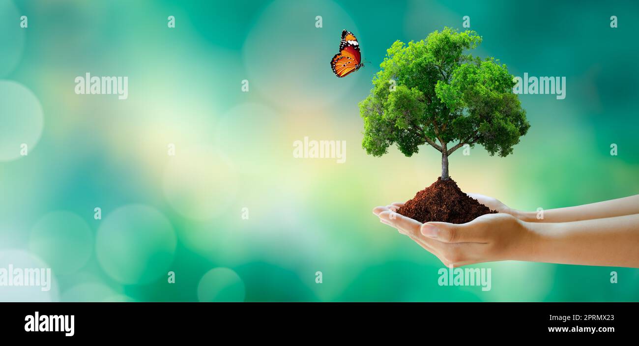 Salva pianeta pulito, Salva mondo e ambiente, Ecologia, concetto giornata Mondiale della Terra. Foto Stock