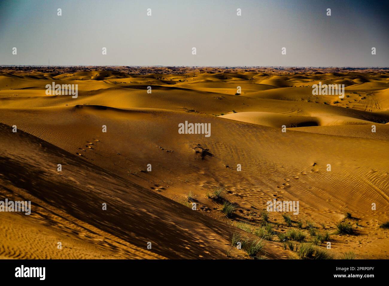 Immagine del deserto arabo Foto Stock