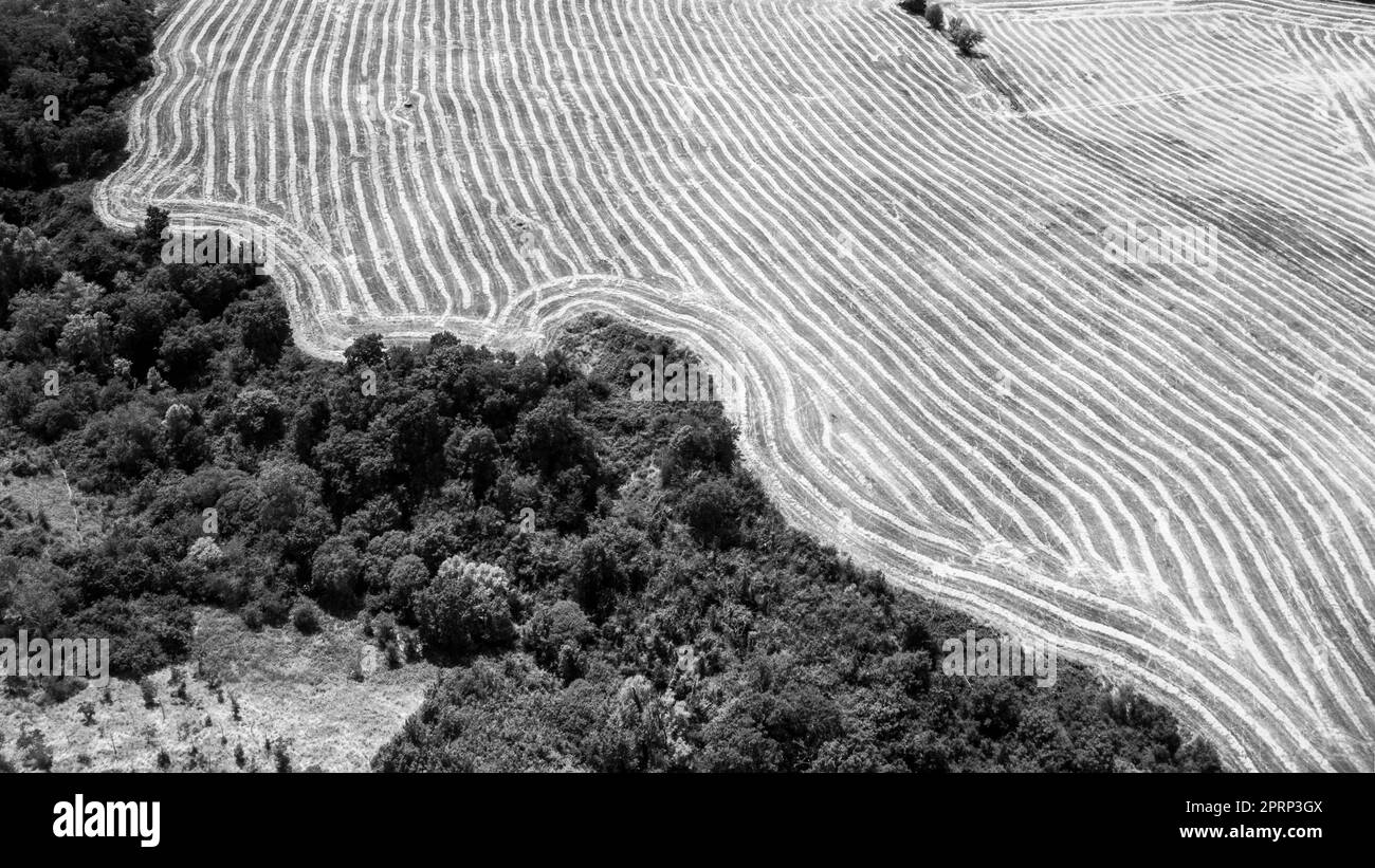 Val d'Orcia e Montepulciano dall'alto. Sognare la Toscana. Foto Stock