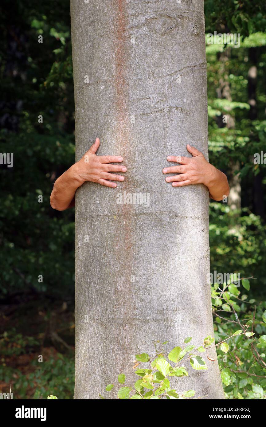 Essere una cosa sola con la natura Foto Stock