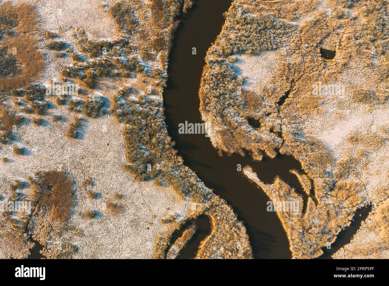 Bielorussia. Vista aerea dell'erba secca e del paesaggio del fiume curvo all'inizio della primavera. Vista dall'alto. Marsh Bog. Vista drone. Vista dall'alto Foto Stock