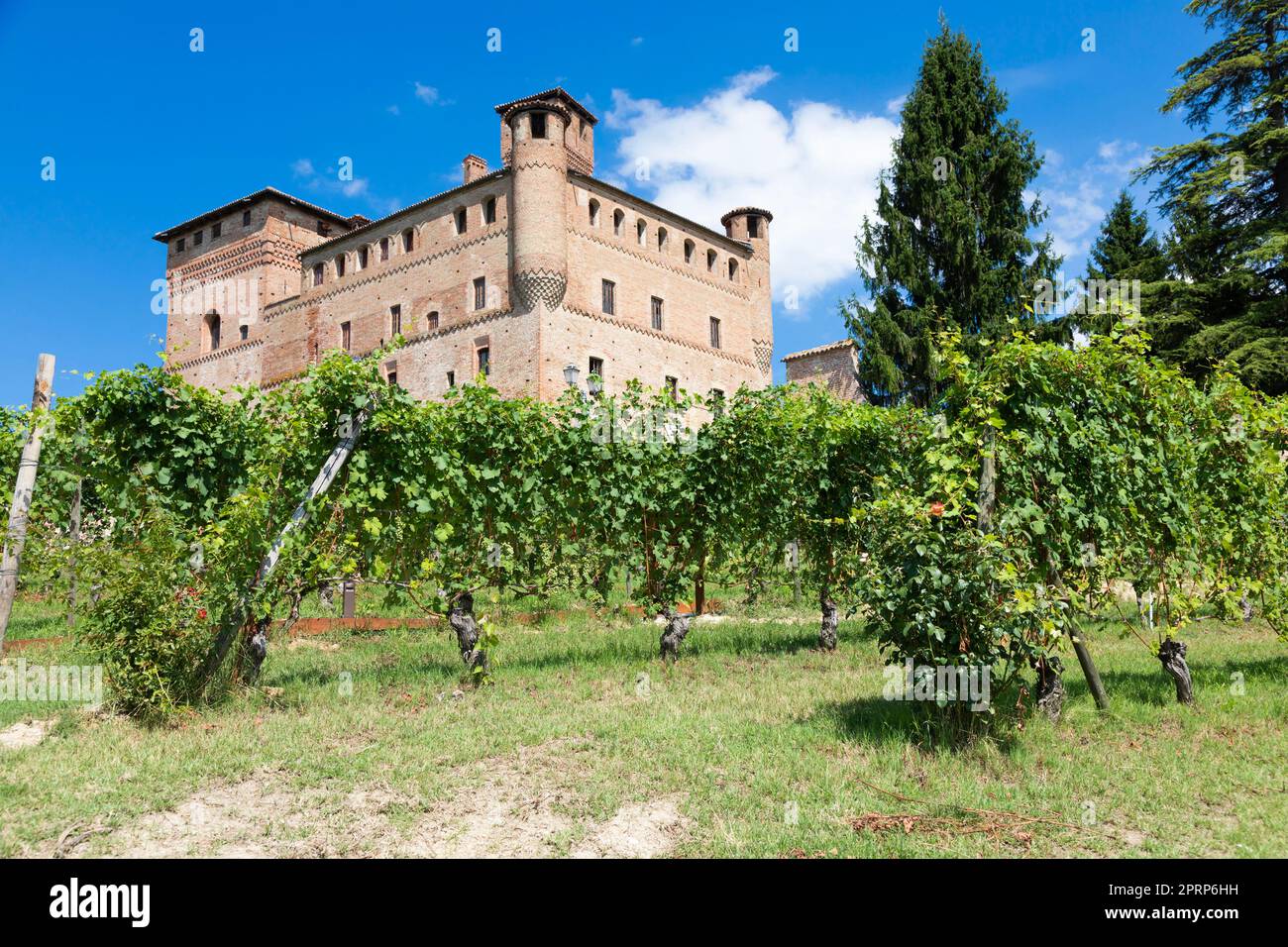 Vigneto in Piemonte, Italia, con il castello di Grinzane Cavour sullo sfondo Foto Stock